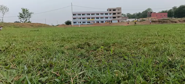 The school building seen across the playground